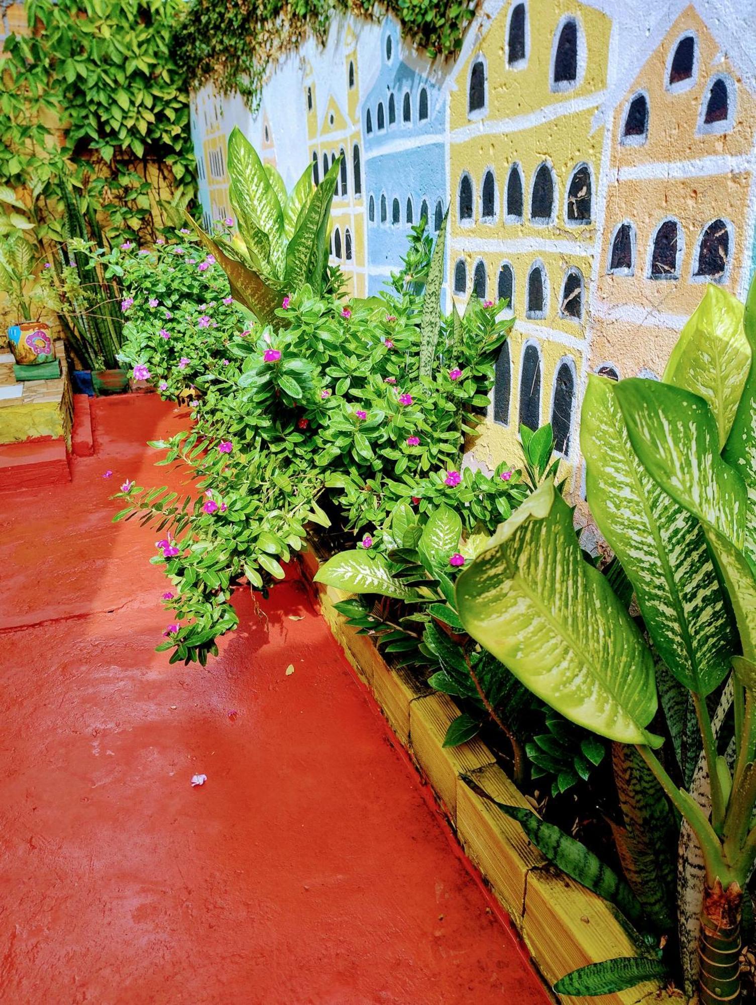 Perto Do Aeroporto De Salvador - Dona Pitanga Hostel Lauro de Freitas Kültér fotó