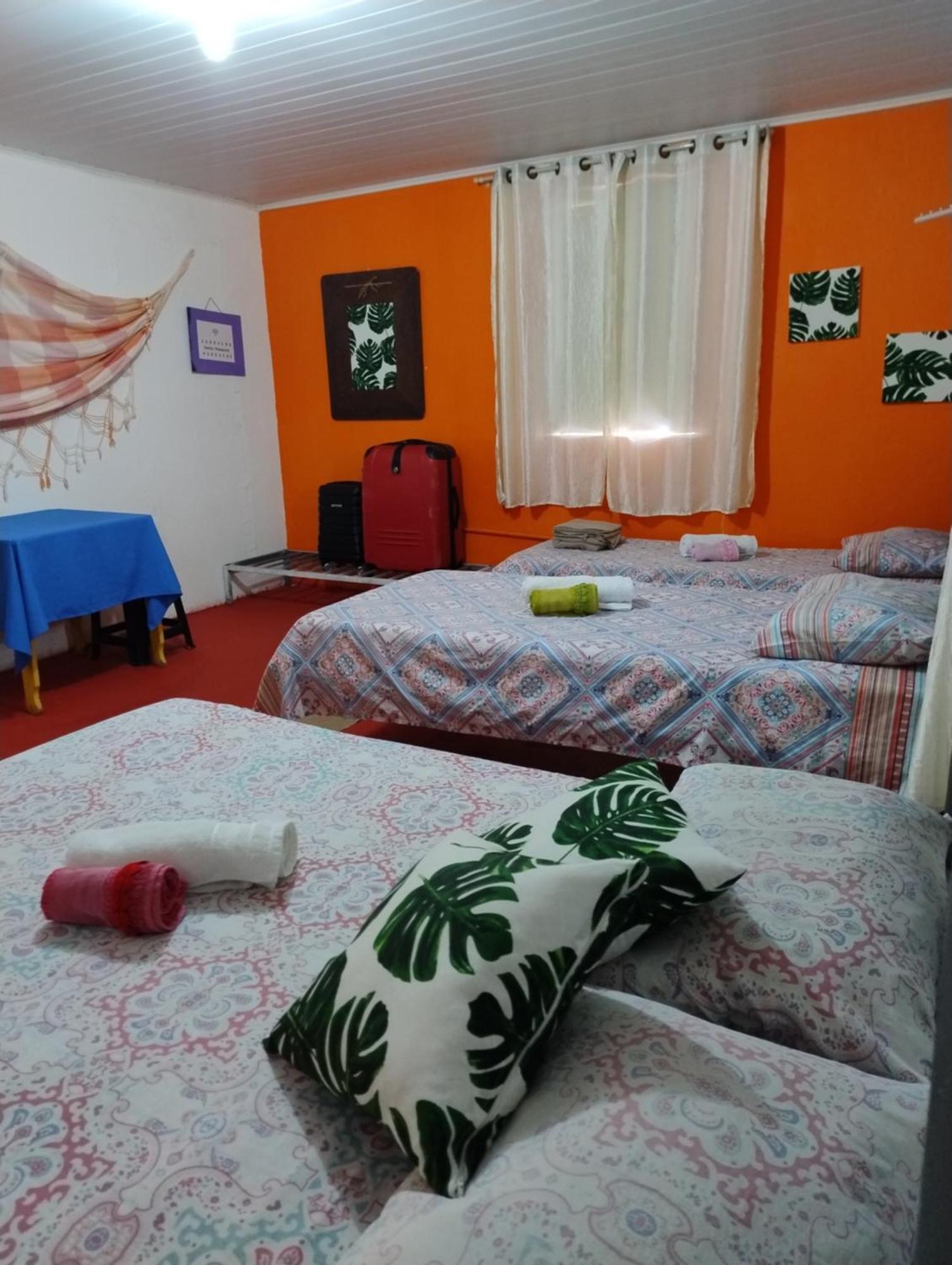 Perto Do Aeroporto De Salvador - Dona Pitanga Hostel Lauro de Freitas Kültér fotó